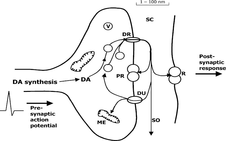 Fig. 2