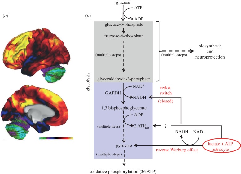 Figure 3.