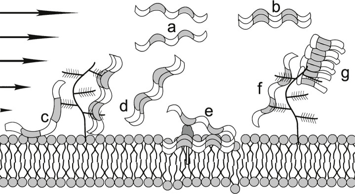 Fig.9