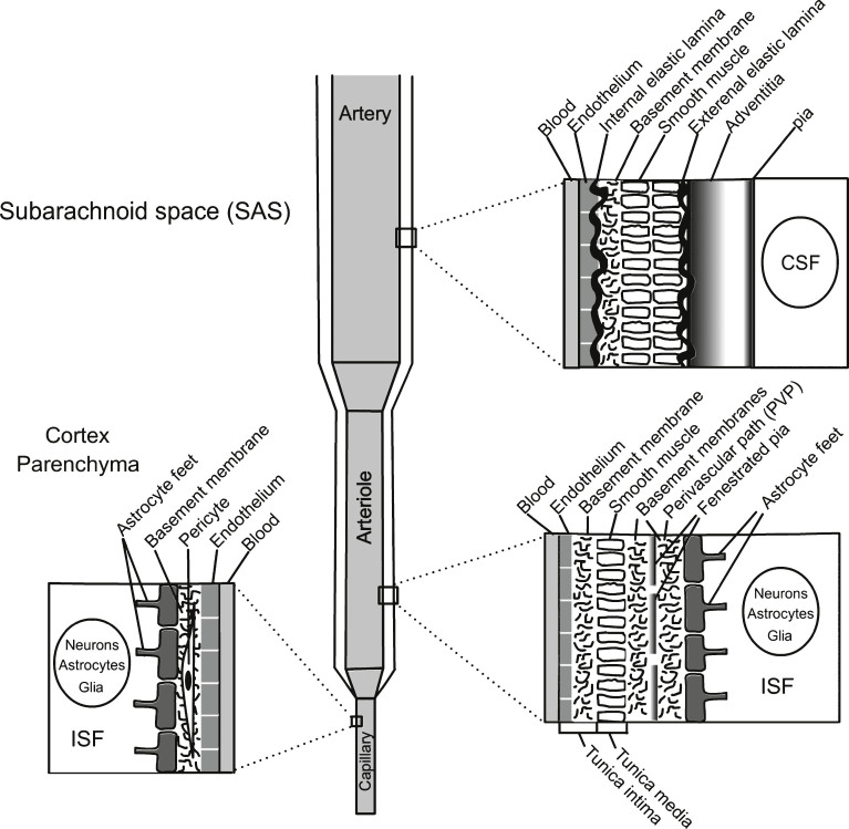 Fig.4