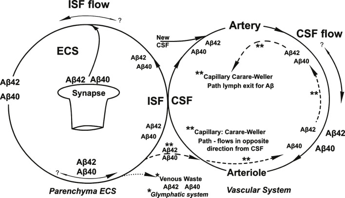 Fig.5