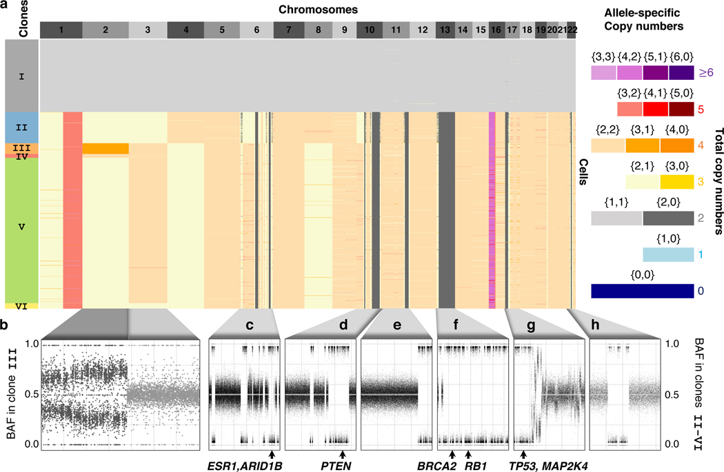 Fig. 2: