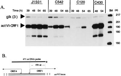 FIG. 3