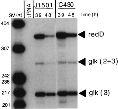 FIG. 5