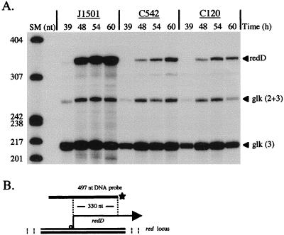 FIG. 4