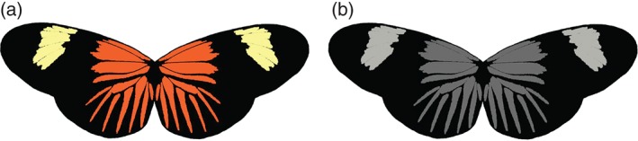 EEN-12335-FIG-0001-c