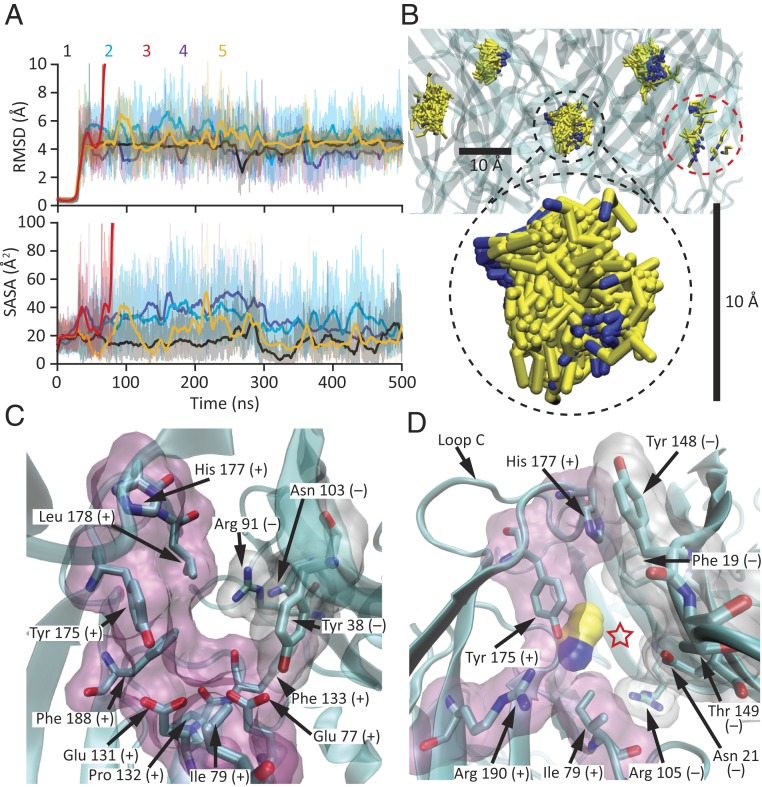 Fig. 8.