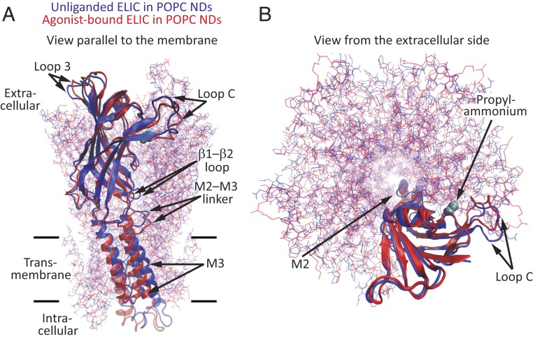 Fig. 3.