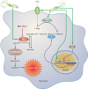 FIG. 4.