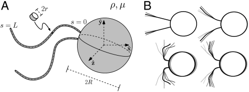 Fig. 1.