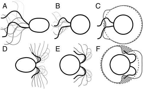 Fig. 3.