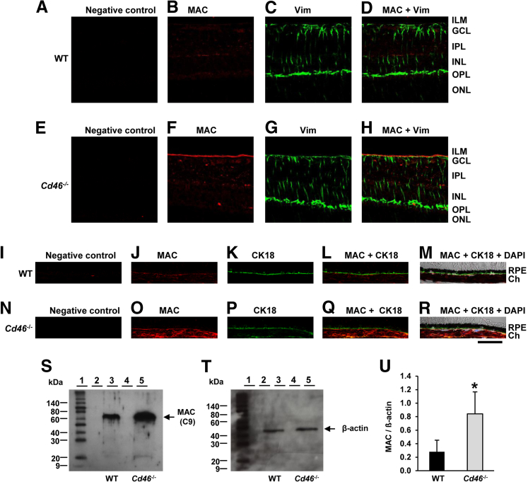 Figure 6