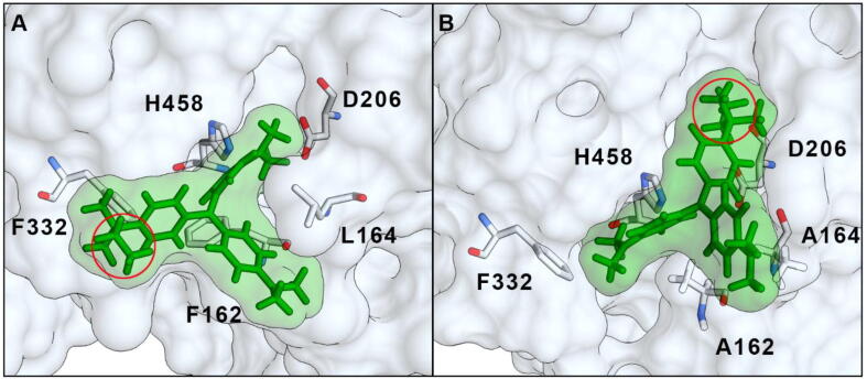 Fig. 4