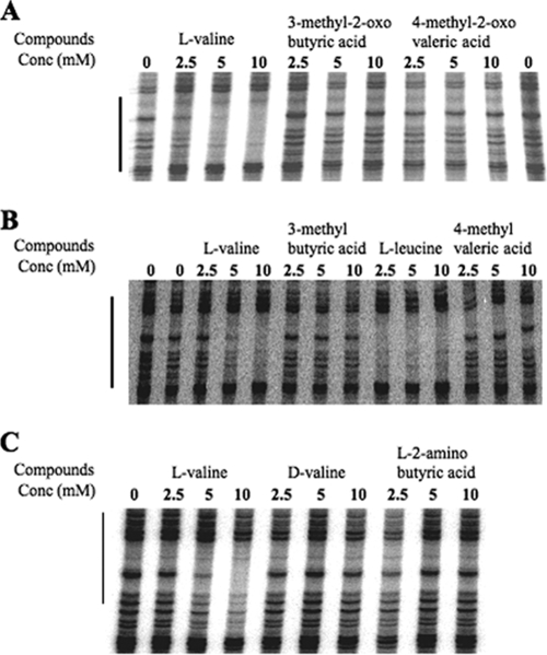 FIG. 8.