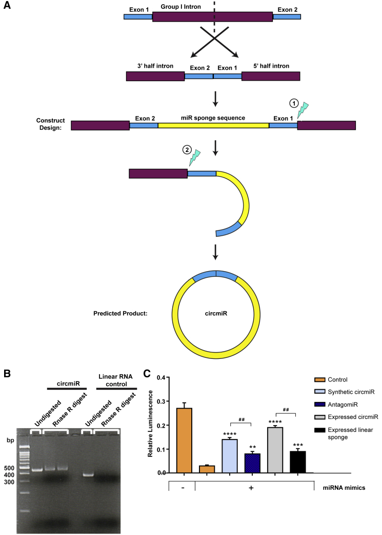 Figure 4