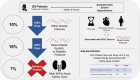 Graphical Abstract