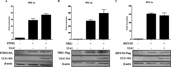 FIG 2