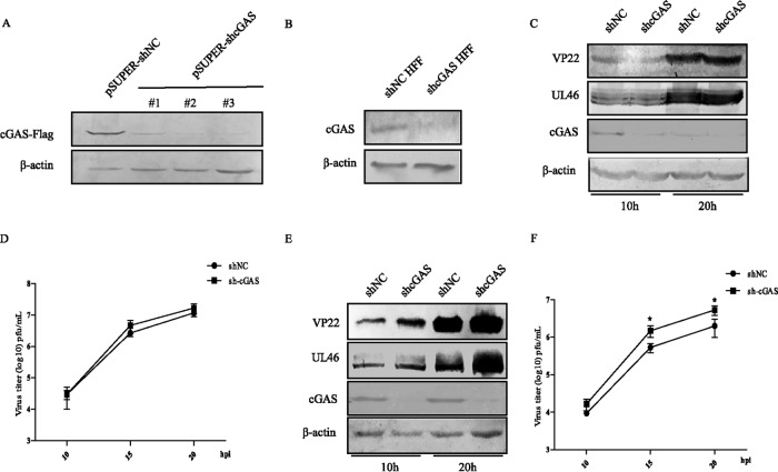 FIG 4