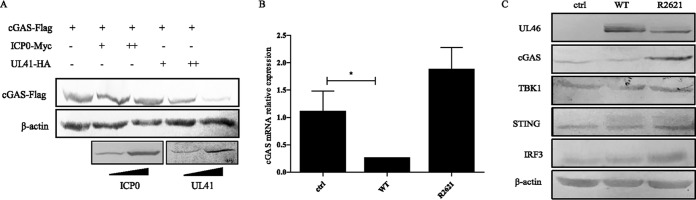 FIG 3