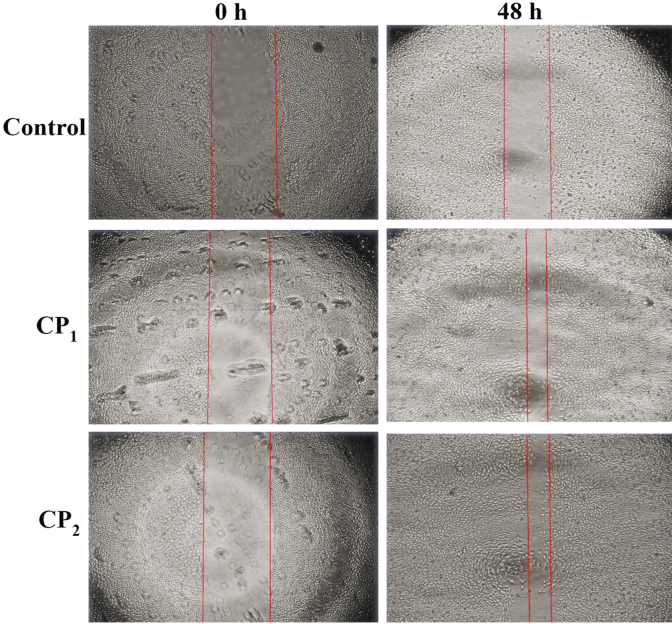 Fig. 6