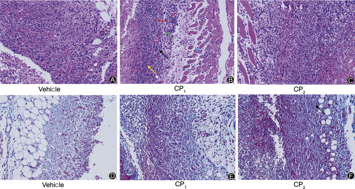 Fig. 9