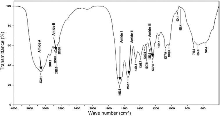 Fig. 4