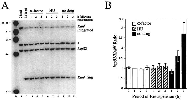 FIG. 9