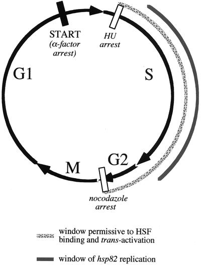 FIG. 11