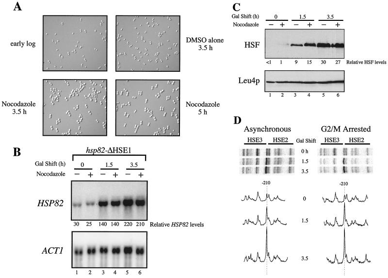 FIG. 7