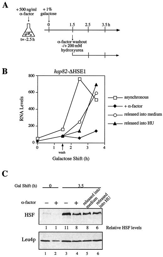 FIG. 5