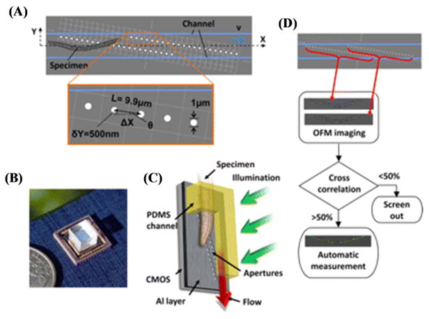 Figure 10