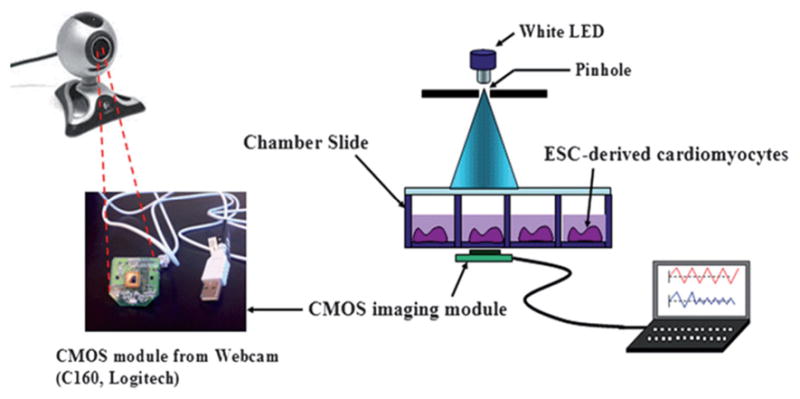 Figure 12