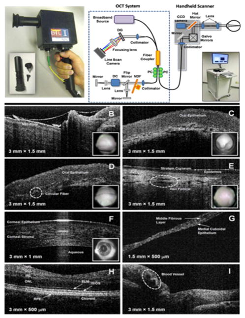 Figure 15