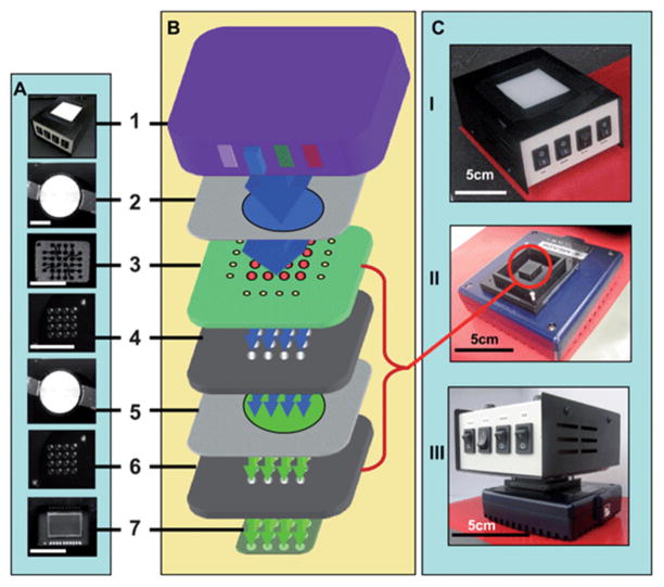 Figure 11