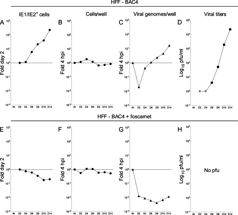 FIG 2