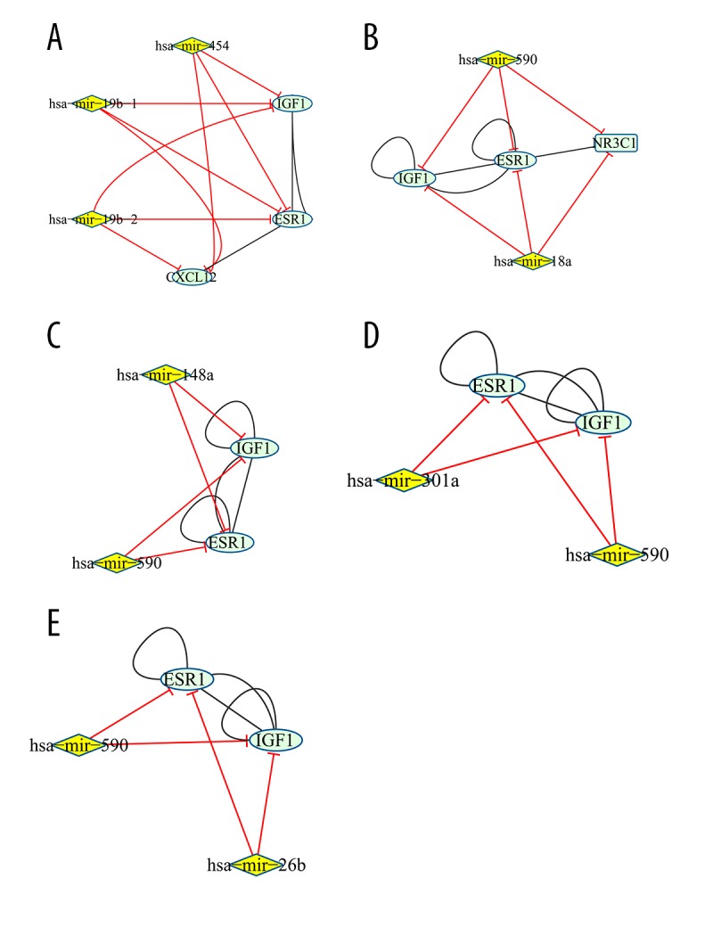 Figure 5