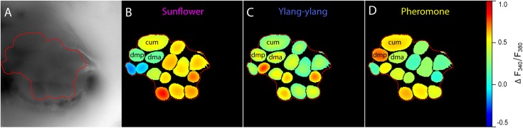 Fig 3