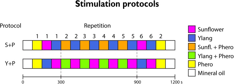 Fig 2