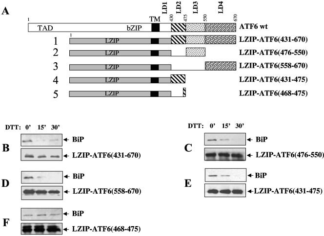 FIG. 4.