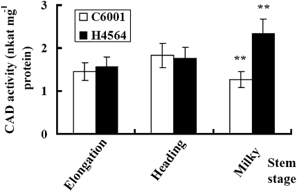 Fig. 10.