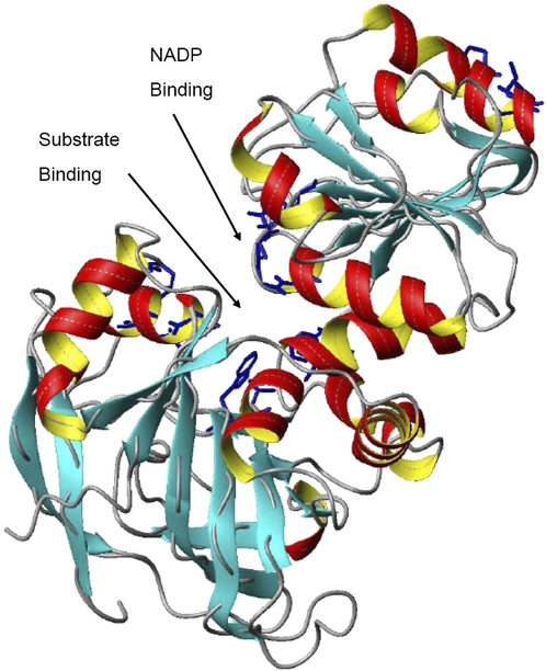 Fig. 4.