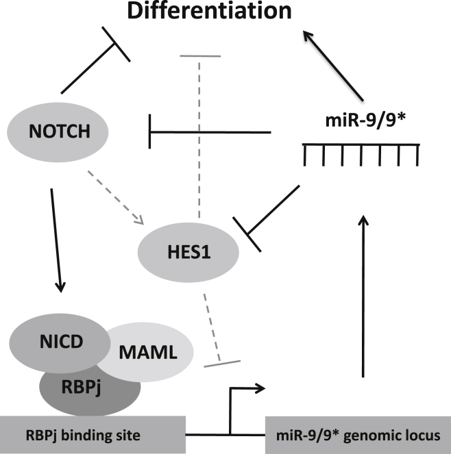 Figure 5