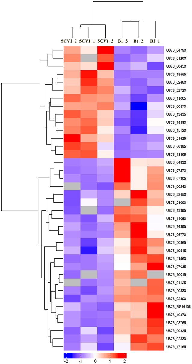 Figure 7