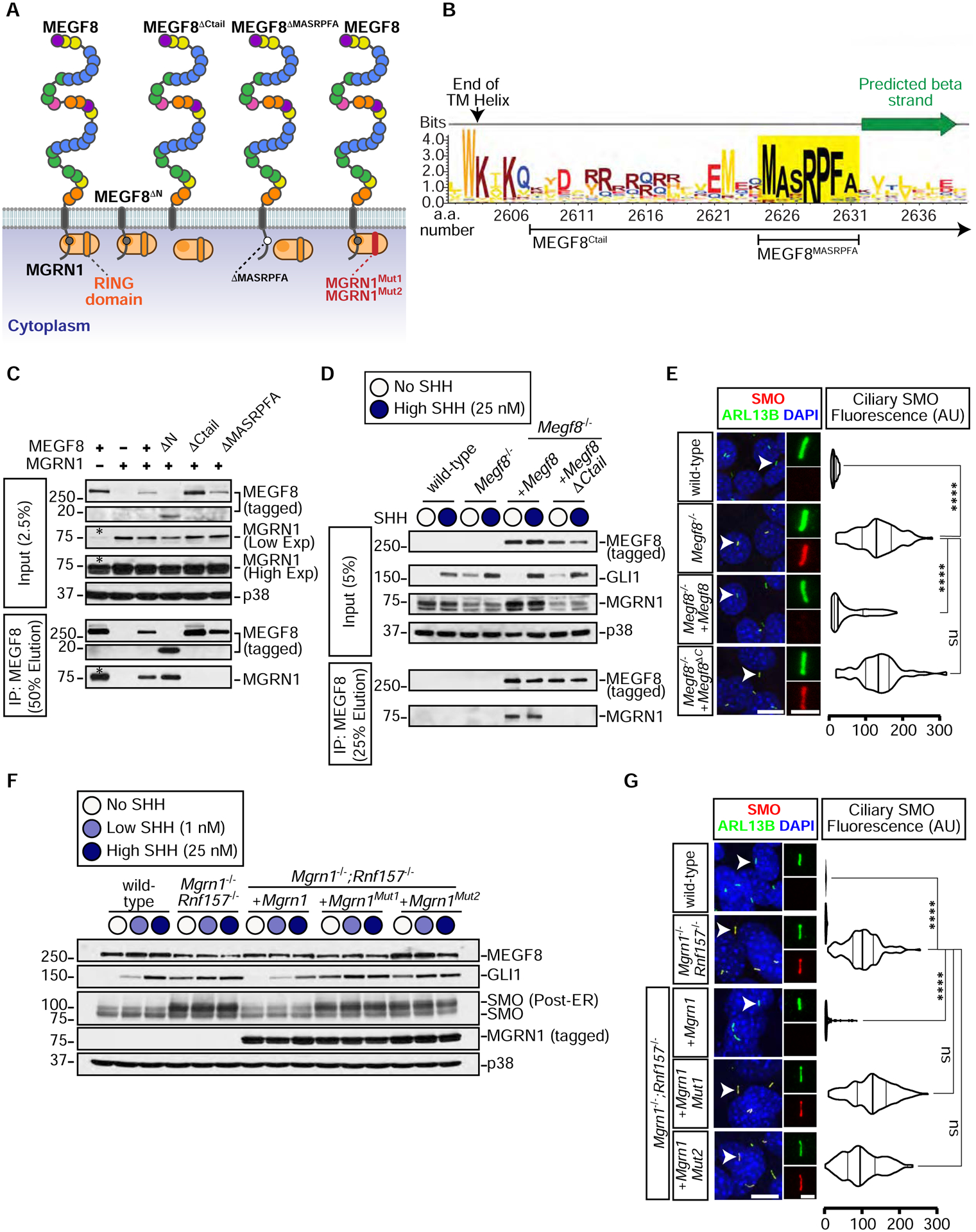 Figure 3: