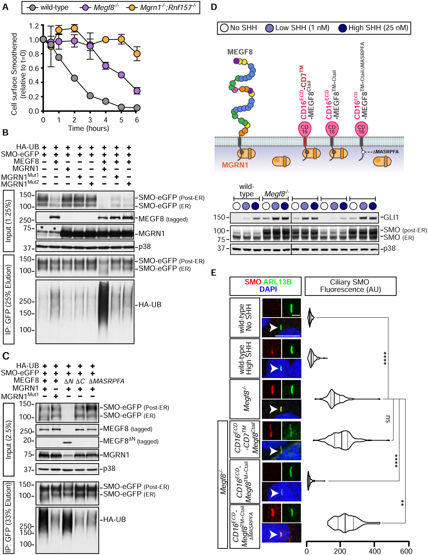 Figure 4: