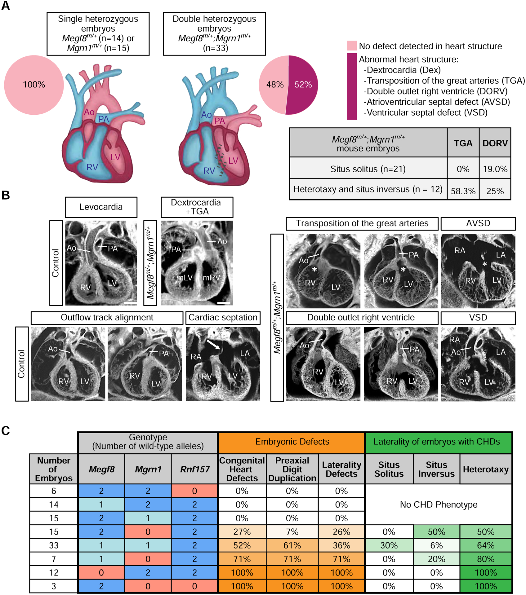 Figure 6: