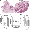 FIG 3