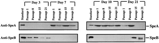 FIG. 5