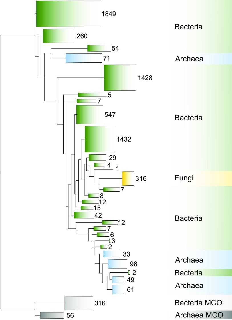 FIG 2