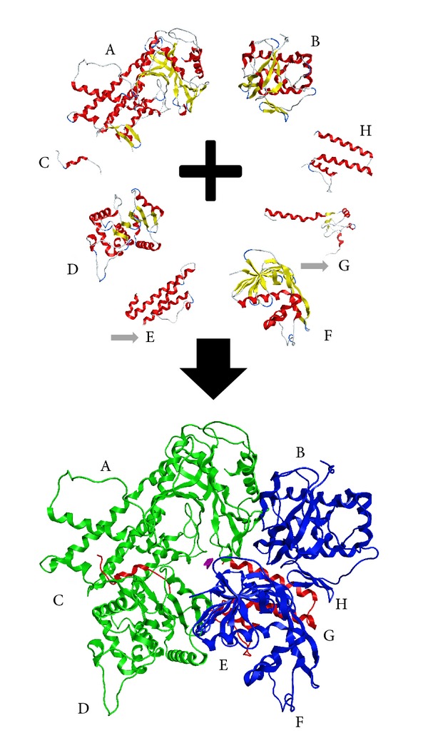 Figure 1